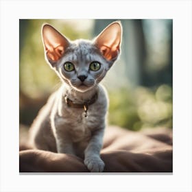 Sphynx Cat 2 Canvas Print