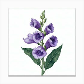 Foxglove Canvas Print