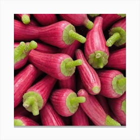 Swiss Chard Canvas Print