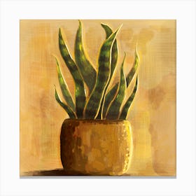 Snake plant in A Pot in Sunshine Canvas Print
