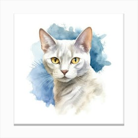 Burmilla Shorthair Cat Portrait 1 Canvas Print