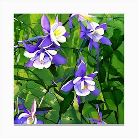 Columbine Flowers Canvas Print