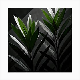 Black And White Plants Canvas Print