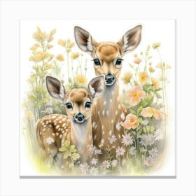 Fawns 3 Canvas Print