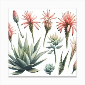 Flower of Aloe 1 Canvas Print