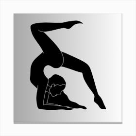 Acrobatics Canvas Print