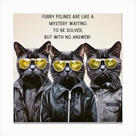 Furry Felines Canvas Print