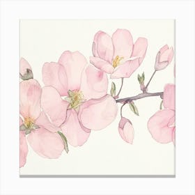 Pink Cherry Blossoms Canvas Print