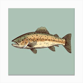 Trout Cartoon Canvas Print