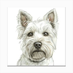 West Highland Terrier Canvas Print Canvas Print