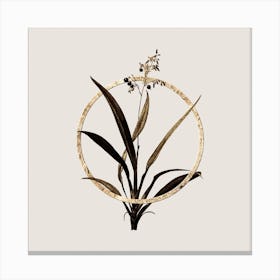 Gold Ring Flax Lilies Glitter Botanical Illustration Canvas Print