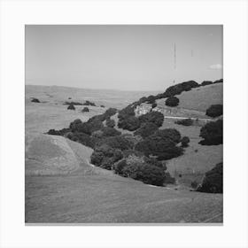 Untitled Photo, Possibly Related To San Benito County, California, Low Hills By Russell Lee Canvas Print