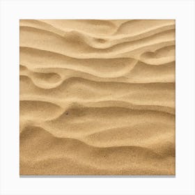 Sand Texture 16 Canvas Print
