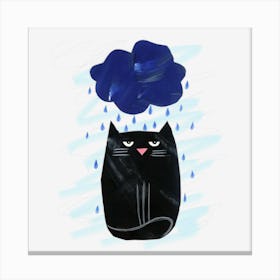 Black Cat In The Rain Canvas Print