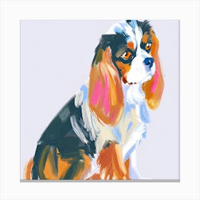 Cavalier King Charles Spaniel 01 Canvas Print