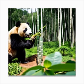 Panda Bear In Bamboo Forest Photo 1 Canvas Print