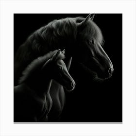 Black Horse And Foal 3 Canvas Print