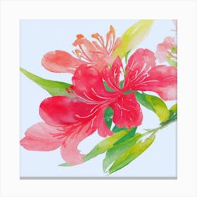 Watercolor Rhododendron Canvas Print