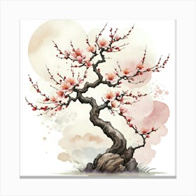 Cherry Blossom Tree 16 Canvas Print