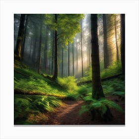 Ferns In The Forest 2 Canvas Print