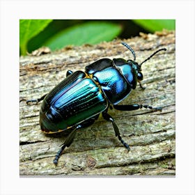 Beetle Insect Bug Coleoptera Exoskeleton Antennae Wings Black Colorful Small Crawling Car (5) Canvas Print