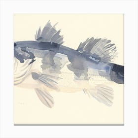 Bass Fish Canvas Print