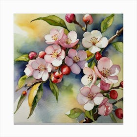 Blossoming Cherry Blossoms Canvas Print