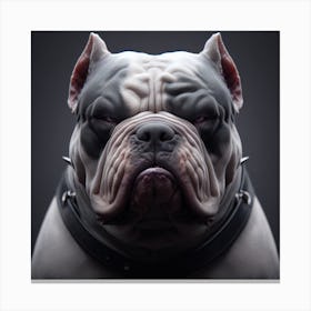 Bulldog Canvas Print