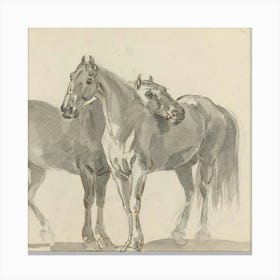 Two Horses Canvas Print