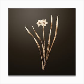 Gold Botanical Primrose Peerless on Chocolate Brown n.2247 Canvas Print