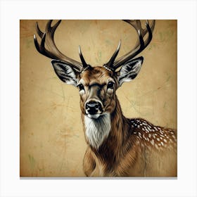 Deer Head 8 Canvas Print