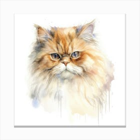 Persian Cat Portrait 2 Canvas Print