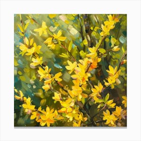 Forsythia Blossoms Canvas Print