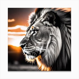 Lion At Sunset 4 Canvas Print