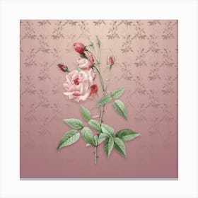 Vintage Common Rose of India Botanical on Dusty Pink Pattern n.0456 Canvas Print