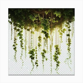 Ivy Hanging From The Ceiling Canvas Print