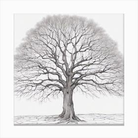 Bare Tree 1 Canvas Print