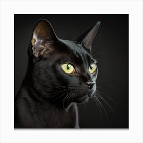 Portrait Of A Black Cat Canvas Print