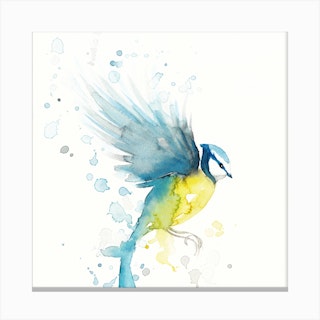 Bluetit Bird 2 Canvas Print