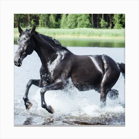 Horse Galloping In The Water Canvas Print