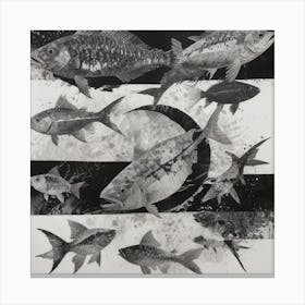 Black And White Fish Canvas Print