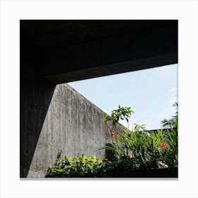 Garden In Bali Canvas Print