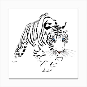 White Bengal Tiger White Series Square Canvas Print