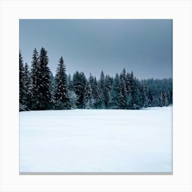 A Serene Winter Landscape Under A Subdued Grey Sky Snow Blankets A Fir Tree Frost Glistens On Surr (6) Canvas Print