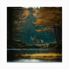 Deer In The Woods 1 Canvas Print