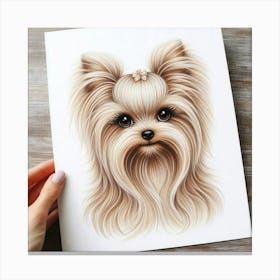 A yorkie female 2 Canvas Print