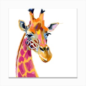 Masai Giraffe 04 Canvas Print