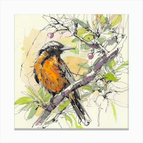 Robin 1 Canvas Print