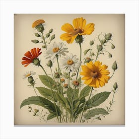 Wildflowers Canvas Print