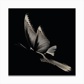 Strange Moth In Flight Canvas Print